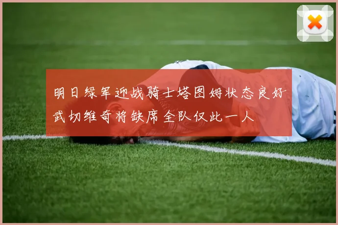 明日绿军迎战骑士塔图姆状态良好武切维奇将缺席全队仅此一人